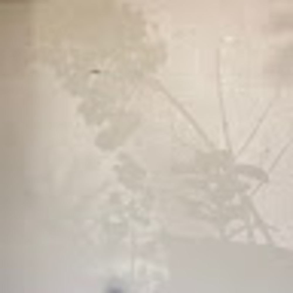 Meet your Posher, Scarlett rose